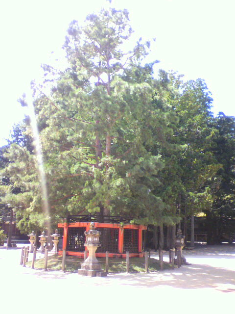 2010090412310001.jpg