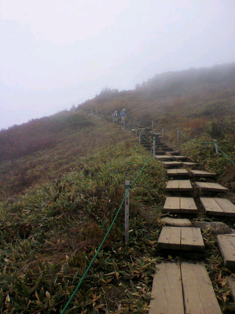 2010101115310000.jpg
