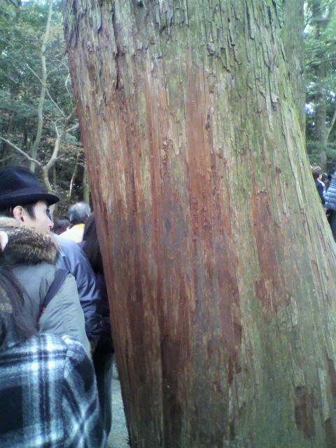 2011011122200000.jpg 2011011122200000.jpg