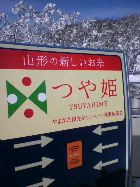 2011020800380000.jpg