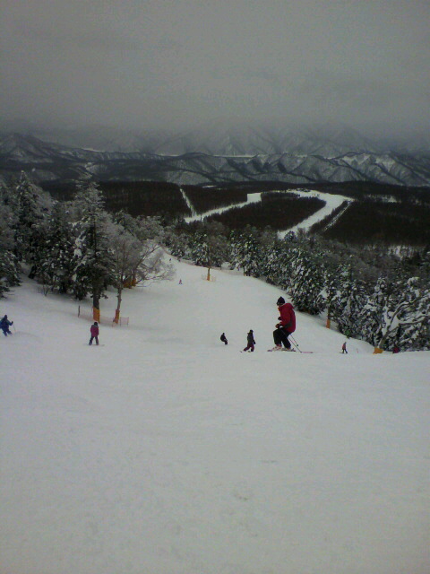 2011021113390001.jpg