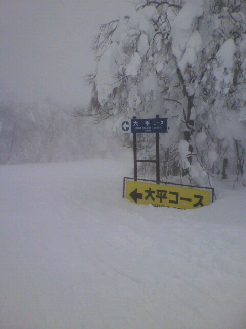 2011021305060000.jpg