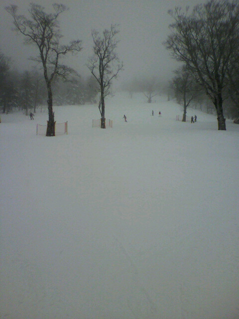 2011021116230000.jpg