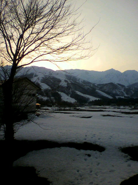 2011040122250001.jpg