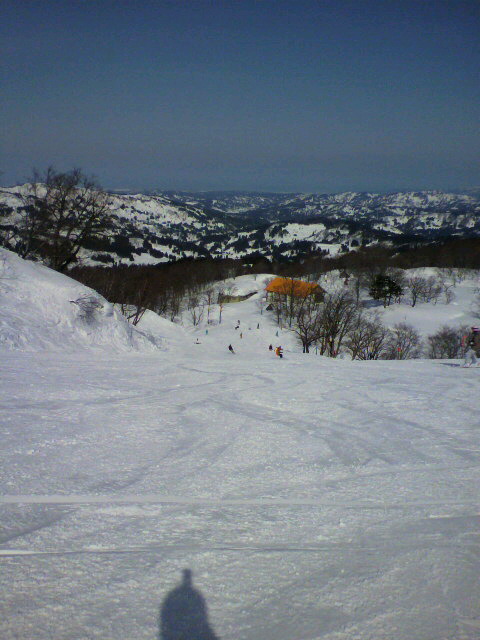 2011022010440000.jpg