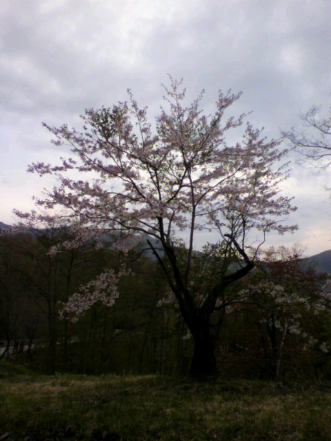 2011051519150001.jpg