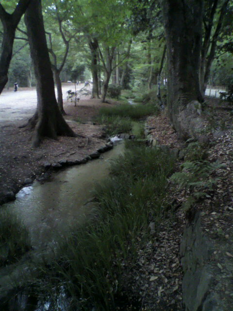2011081807550000.jpg