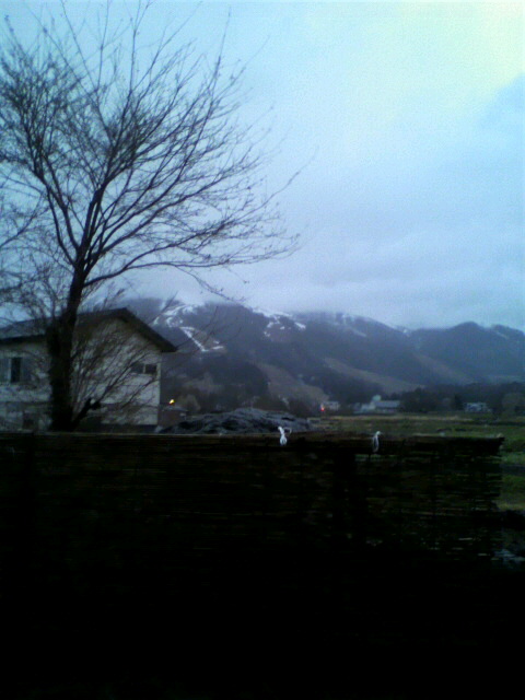 2011050120300000.jpg