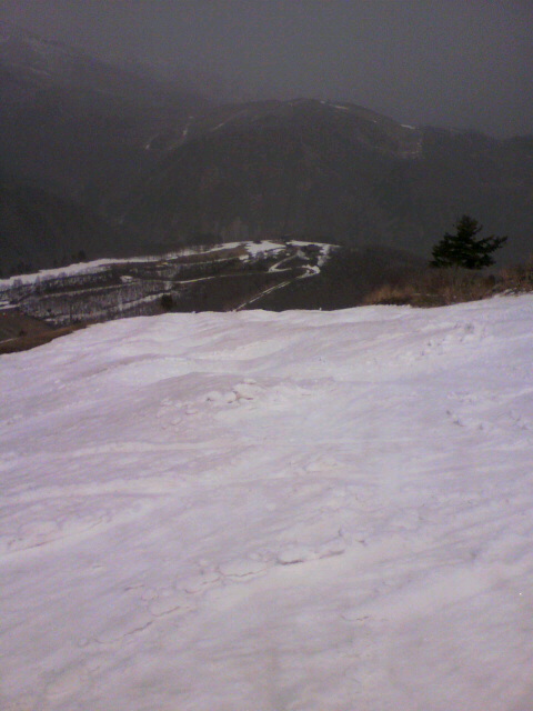 2011050213310000.jpg