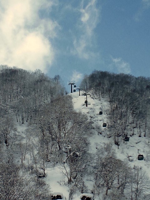 DSC_0924.JPG