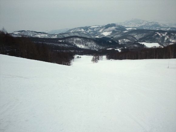DSC_1837.JPG