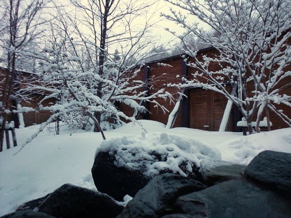 DSC_2599.JPG DSC_2599.JPG