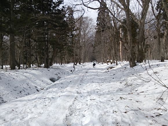 DSC_0939.JPG