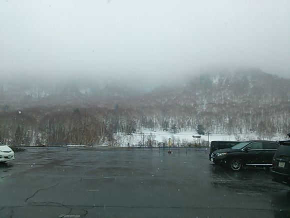 DSC_1100.JPG