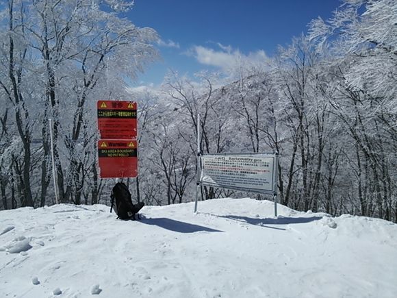DSC_0520.JPG