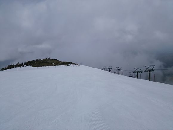DSC_1731.JPG