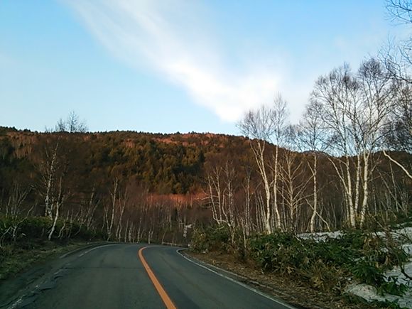 DSC_1973.JPG