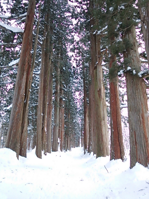 DSC_0353.JPG DSC_0353.JPG