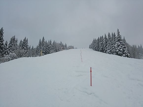 DSC_0488.JPG