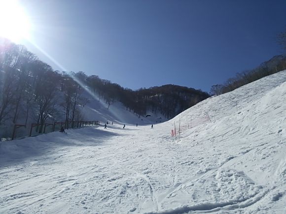 DSC_0775.JPG