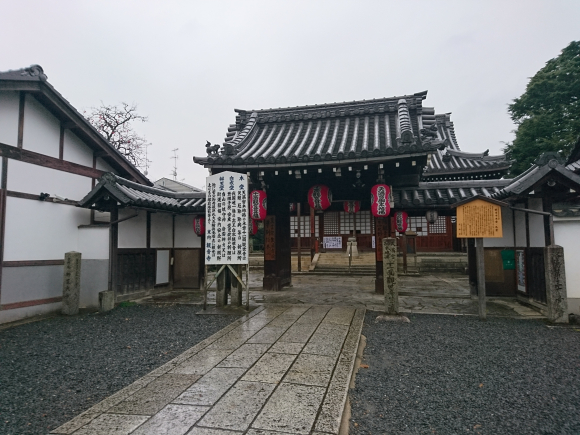 DSC_0182.JPG
