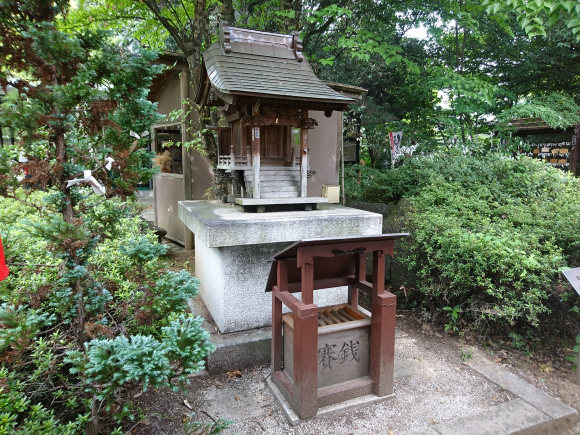DSC_1983.JPG DSC_1983.JPG