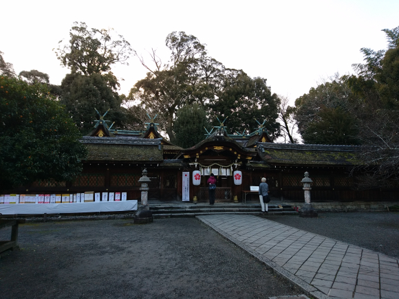 DSC_3262.JPG DSC_3262.JPG