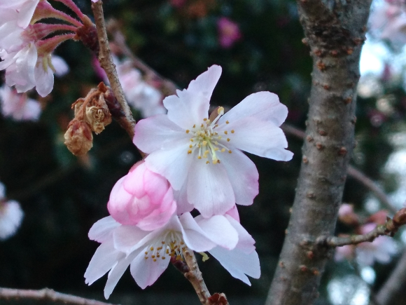 DSC_3262.JPG DSC_3262.JPG
