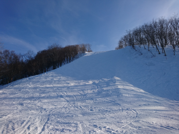 DSC_4610.JPG DSC_4610.JPG