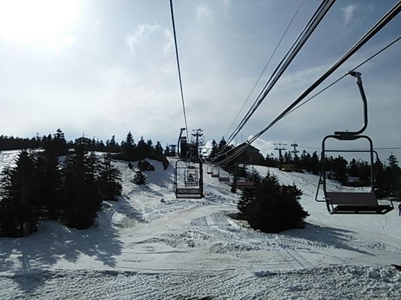 DSC_1767.JPG