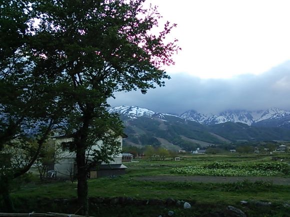 DSC_1870.JPG DSC_1870.JPG