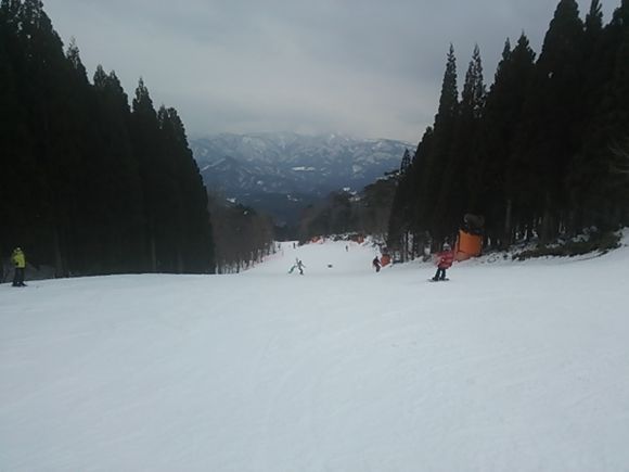 DSC_4773.JPG