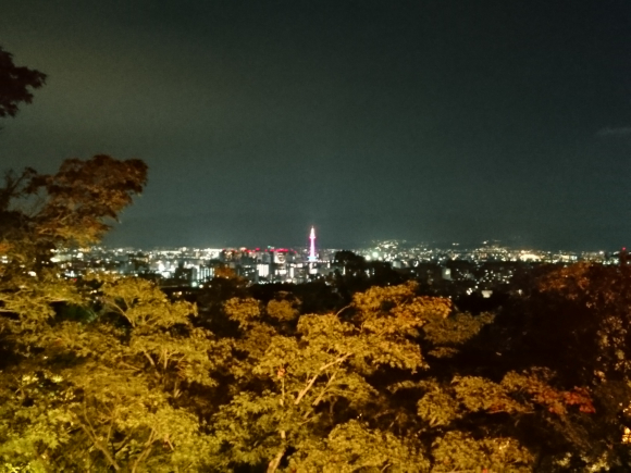 DSC_2186.JPG