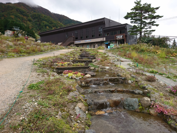 DSC_2240.JPG