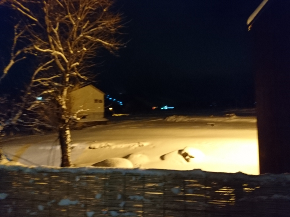 DSC_2933.JPG DSC_2933.JPG