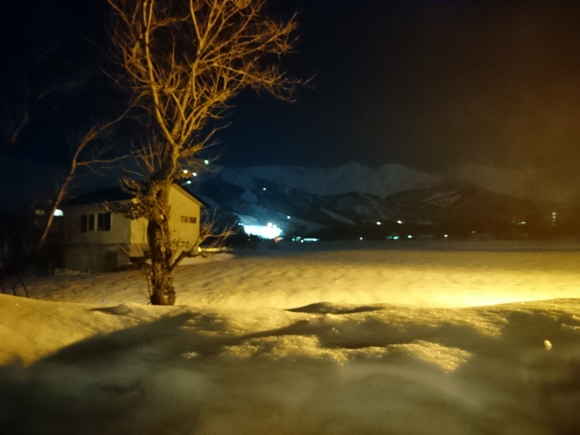 DSC_0780.JPG DSC_0780.JPG