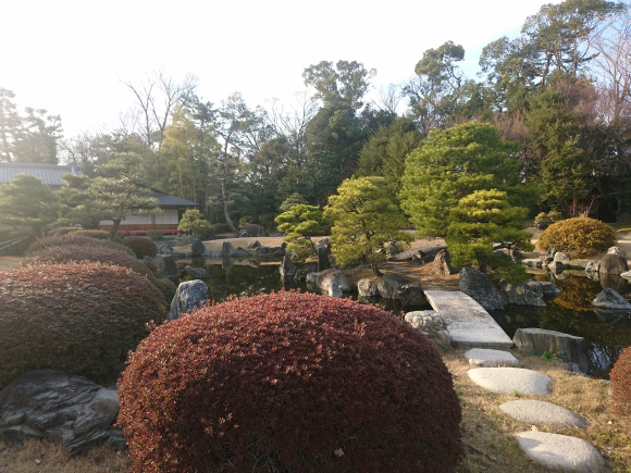 DSC_7324.JPG