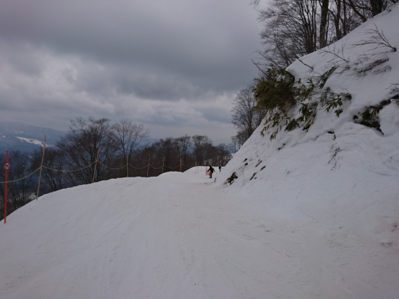 DSC_7423.JPG
