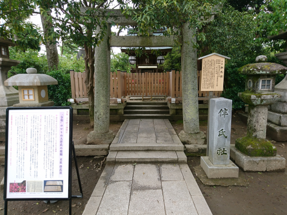 DSC_8393.JPG DSC_8393.JPG