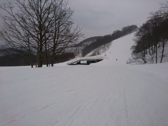 DSC_7865.JPG DSC_7865.JPG