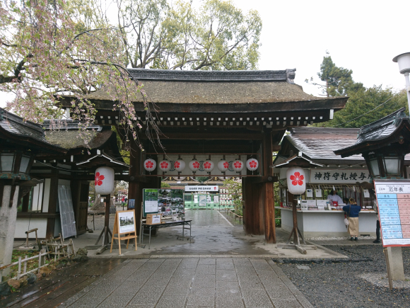 DSC_8161.JPG