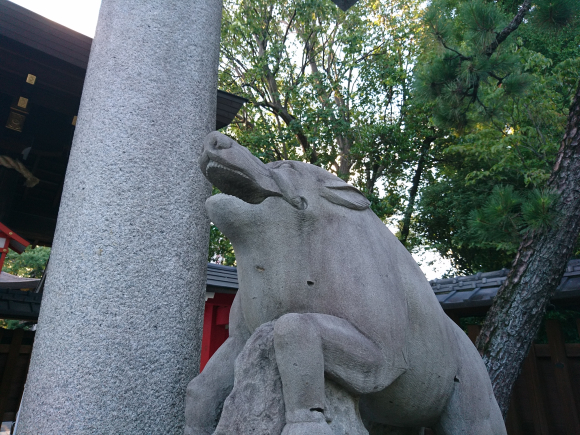 DSC_0164.JPG DSC_0164.JPG