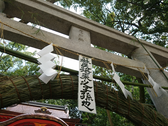 DSC_9764.JPG DSC_9764.JPG
