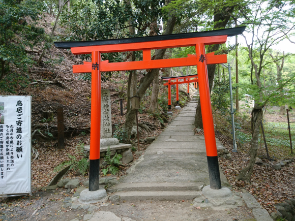 DSC_8321.JPG DSC_8321.JPG