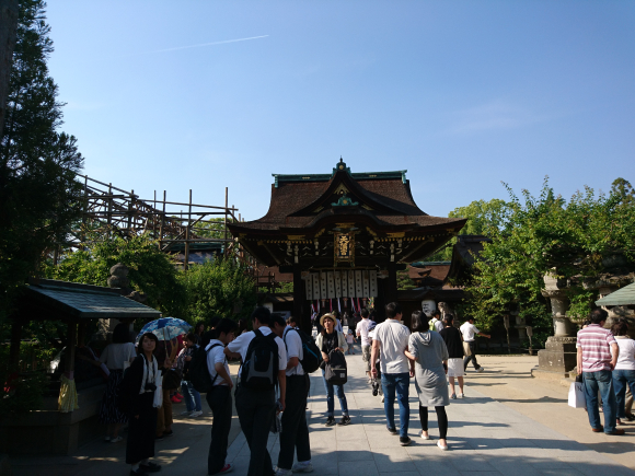 DSC_8726.JPG DSC_8726.JPG