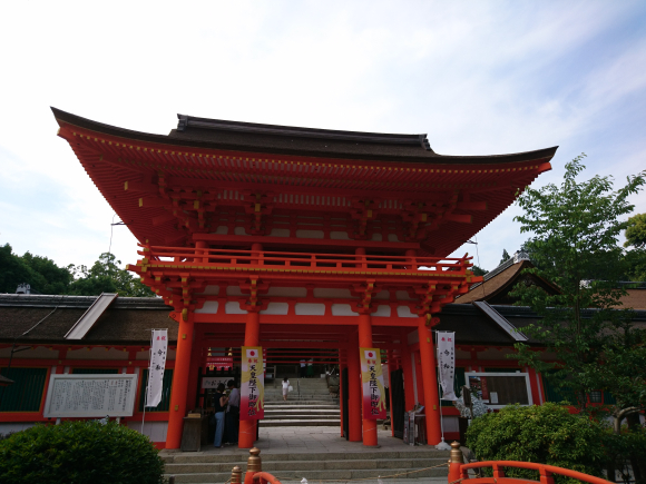 DSC_8746.JPG