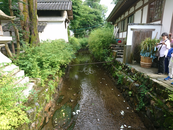 DSC_8903.JPG DSC_8903.JPG