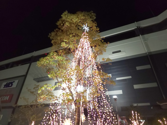 DSC_0311.JPG