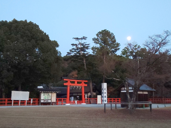 IMG_20191210_170035.jpg