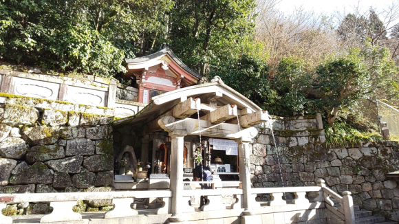 IMG_20201231_143850.jpg